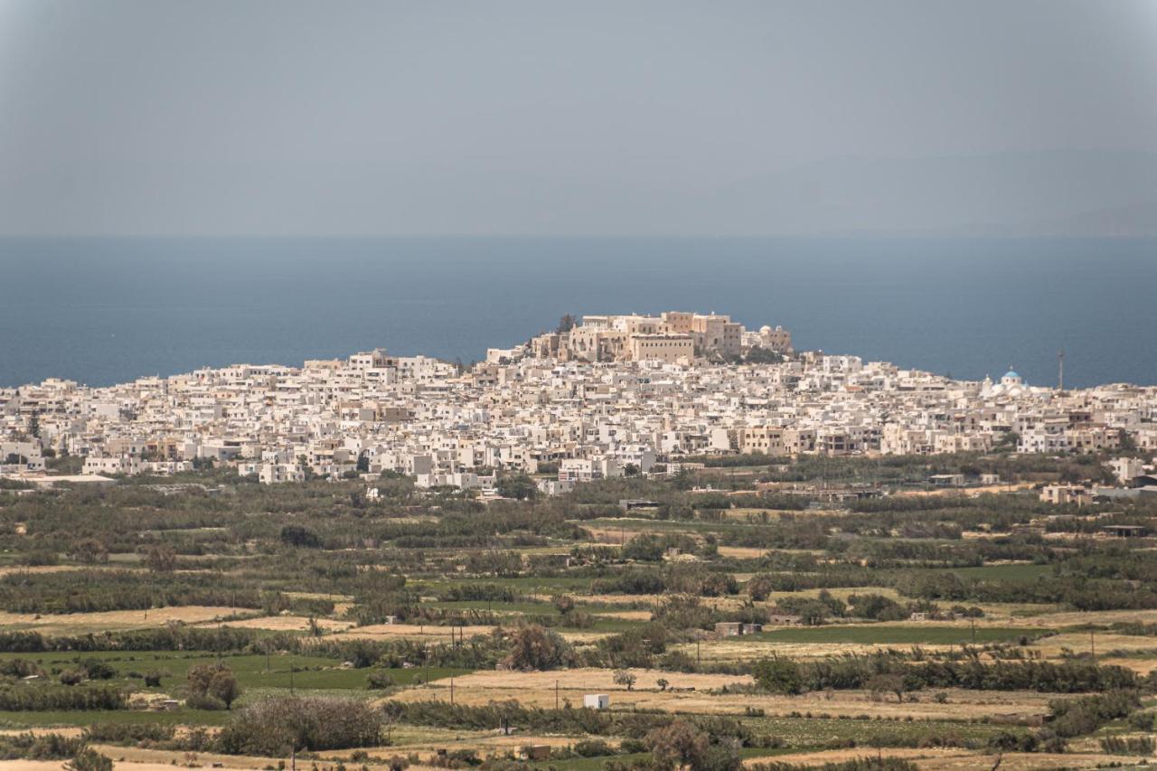 Villa Argo Glinado Naxos Dış mekan fotoğraf